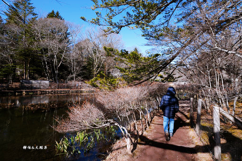 東京旅遊 ❙ 雲場池，輕井澤三大名所，賞紅葉、浪漫雪景，日本