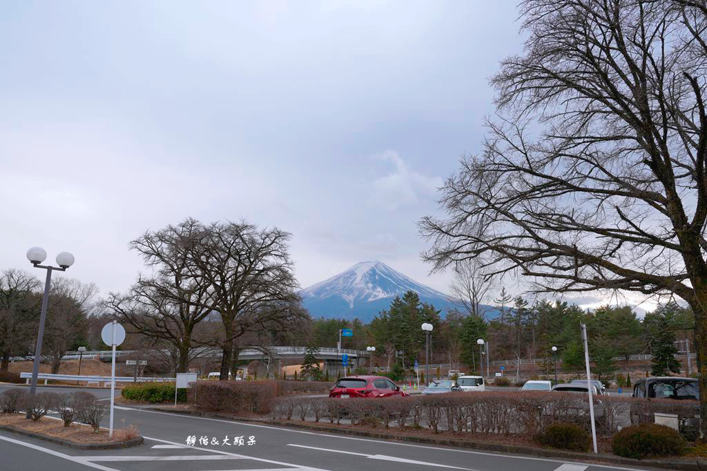 Fujiyama Terrace ❙ 富士山景觀自助餐廳，富