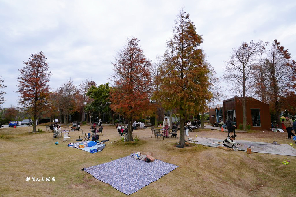 布魯諾咖啡 ❙ 大肚藍色公路落羽松咖啡廳，寵物友善，台中景觀