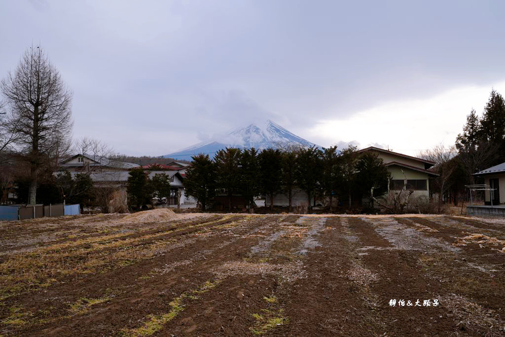 河口湖景點 ❙ 忍野八海，富士山下絕美湧泉群，日本名水百選，