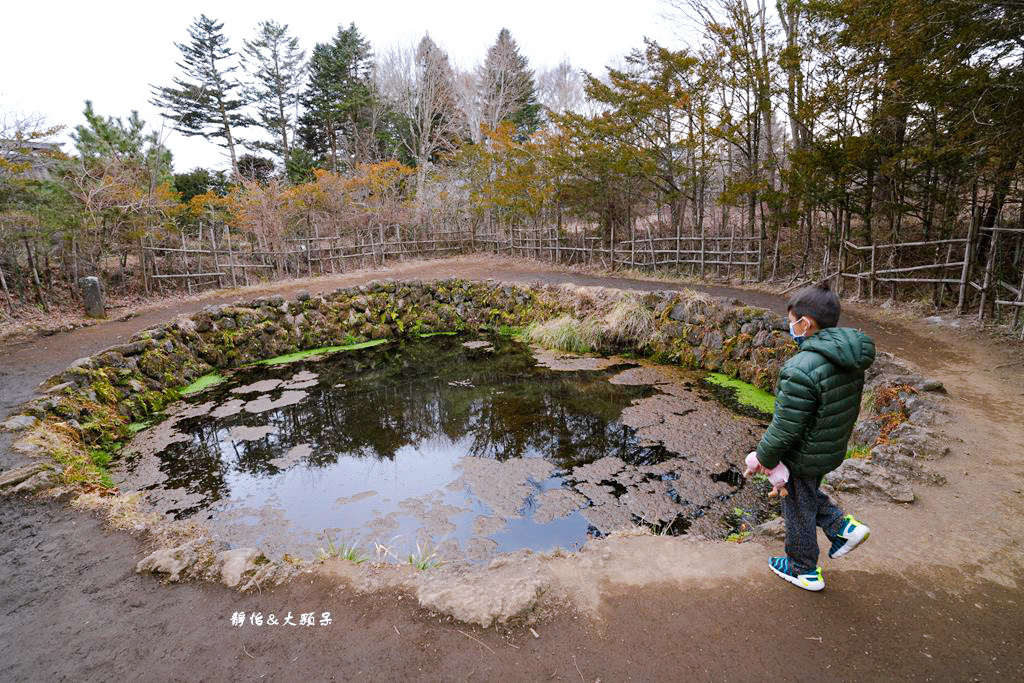 河口湖景點 ❙ 忍野八海，富士山下絕美湧泉群，日本名水百選，