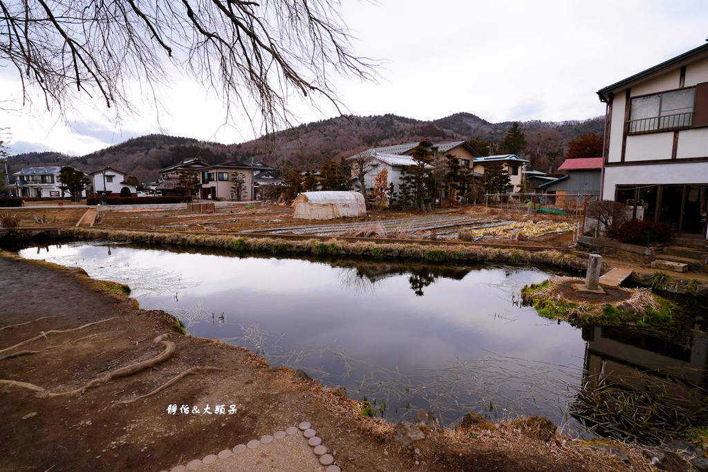 河口湖景點 ❙ 忍野八海，富士山下絕美湧泉群，日本名水百選，