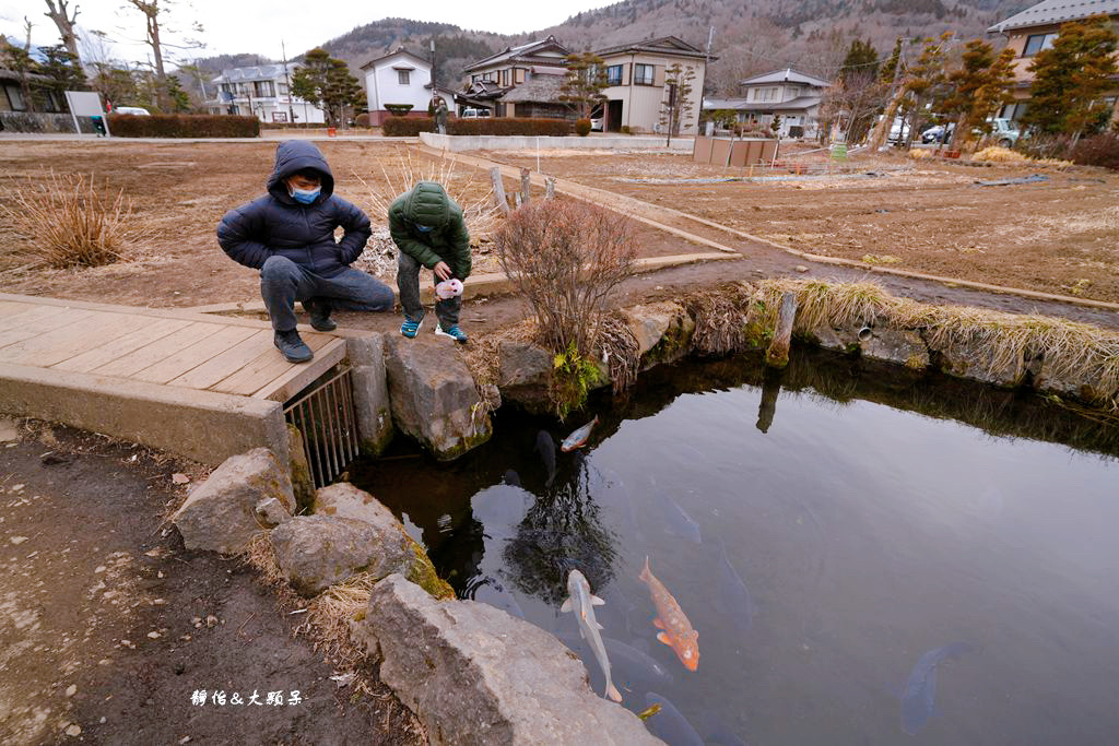 河口湖景點 ❙ 忍野八海，富士山下絕美湧泉群，日本名水百選，