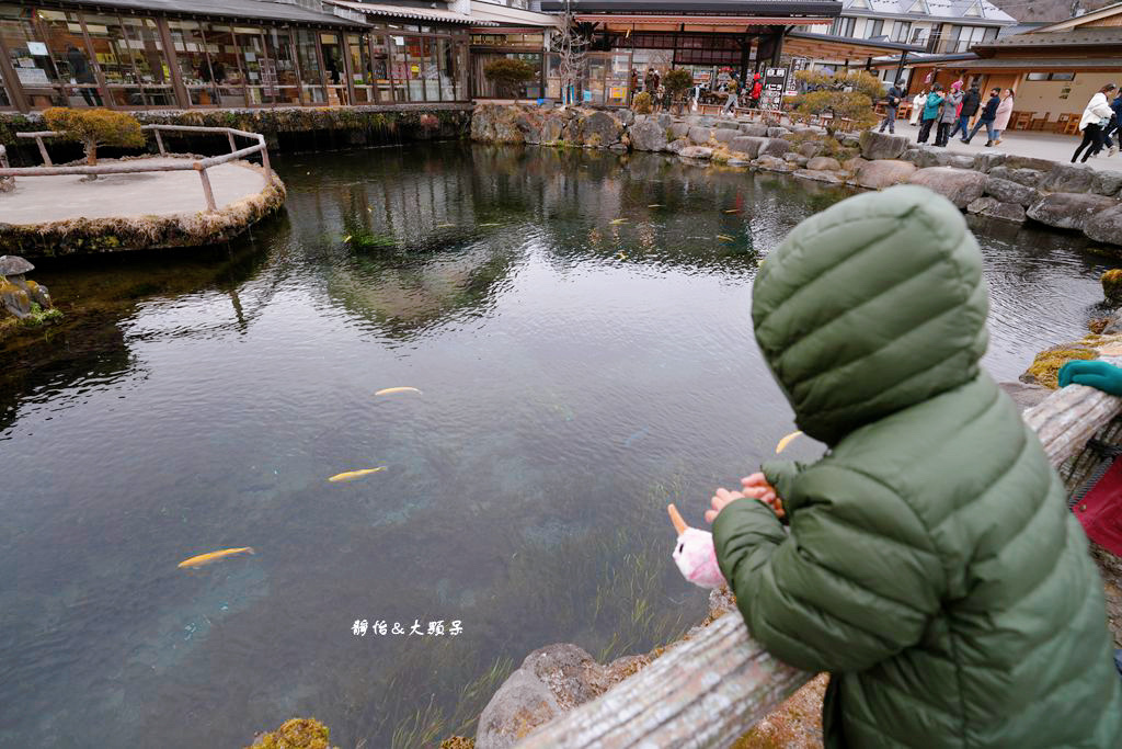 河口湖景點 ❙ 忍野八海，富士山下絕美湧泉群，日本名水百選，