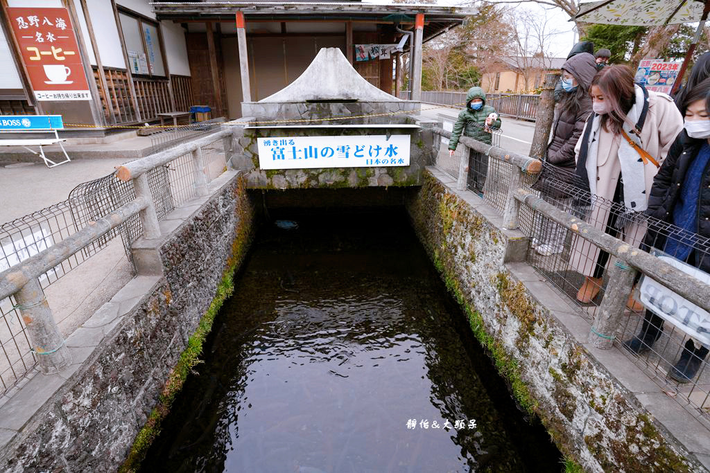 河口湖景點 ❙ 忍野八海，富士山下絕美湧泉群，日本名水百選，