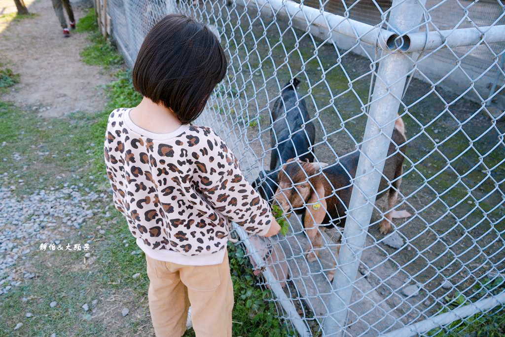 正實親子農場 ❙ 餵小動物、撿雞蛋、氣墊溜滑梯、沙坑，免費飼