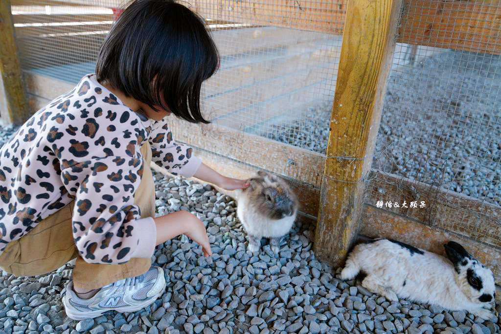 正實親子農場 ❙ 餵小動物、撿雞蛋、氣墊溜滑梯、沙坑，免費飼