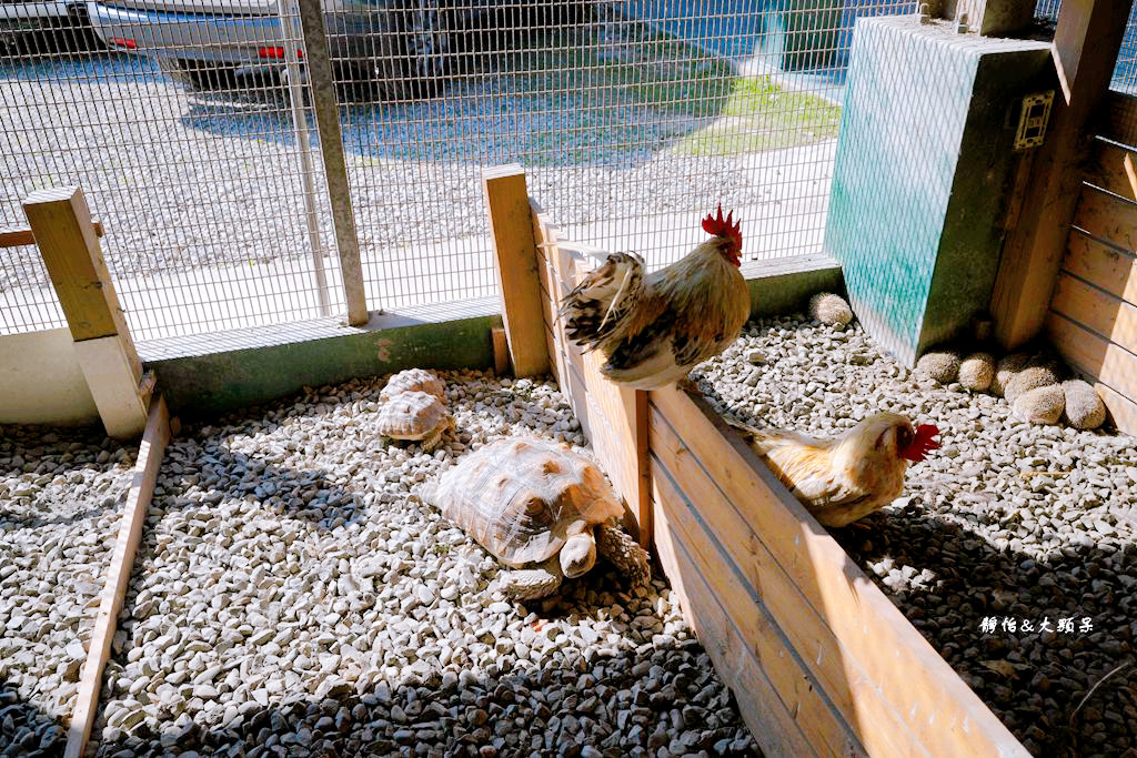 正實親子農場 ❙ 餵小動物、撿雞蛋、氣墊溜滑梯、沙坑，免費飼