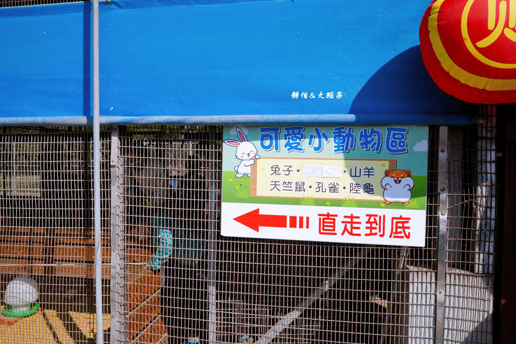 正實親子農場 ❙ 餵小動物、撿雞蛋、氣墊溜滑梯、沙坑，免費飼