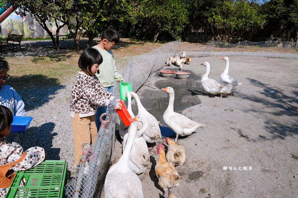 正實親子農場 ❙ 餵小動物、撿雞蛋、氣墊溜滑梯、沙坑，免費飼