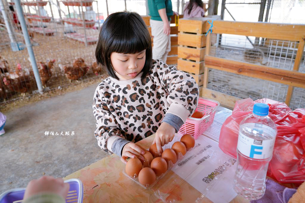 正實親子農場 ❙ 餵小動物、撿雞蛋、氣墊溜滑梯、沙坑，免費飼