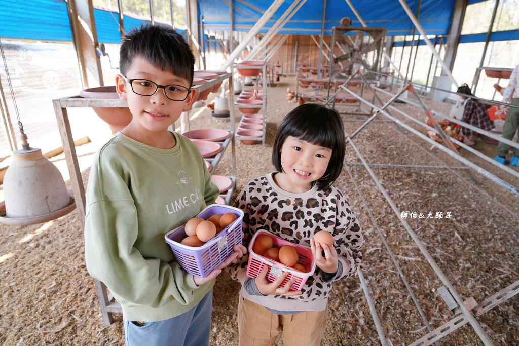 正實親子農場 ❙ 餵小動物、撿雞蛋、氣墊溜滑梯、沙坑，免費飼