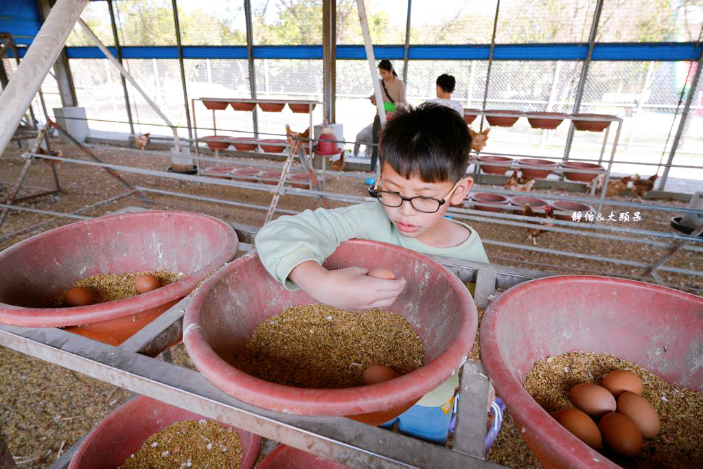 正實親子農場 ❙ 餵小動物、撿雞蛋、氣墊溜滑梯、沙坑，免費飼