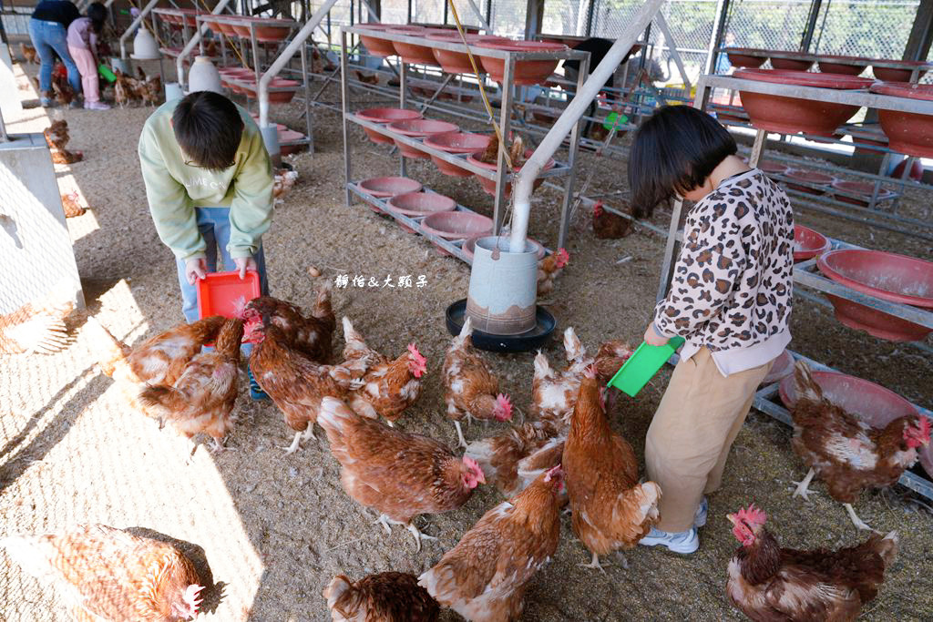 正實親子農場 ❙ 餵小動物、撿雞蛋、氣墊溜滑梯、沙坑，免費飼