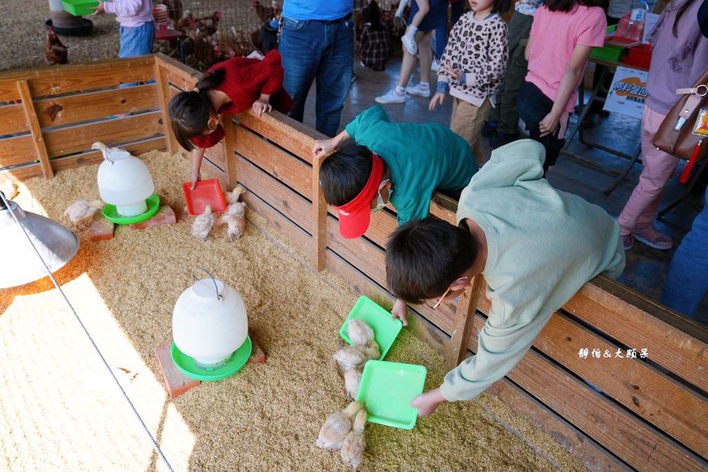 正實親子農場 ❙ 餵小動物、撿雞蛋、氣墊溜滑梯、沙坑，免費飼