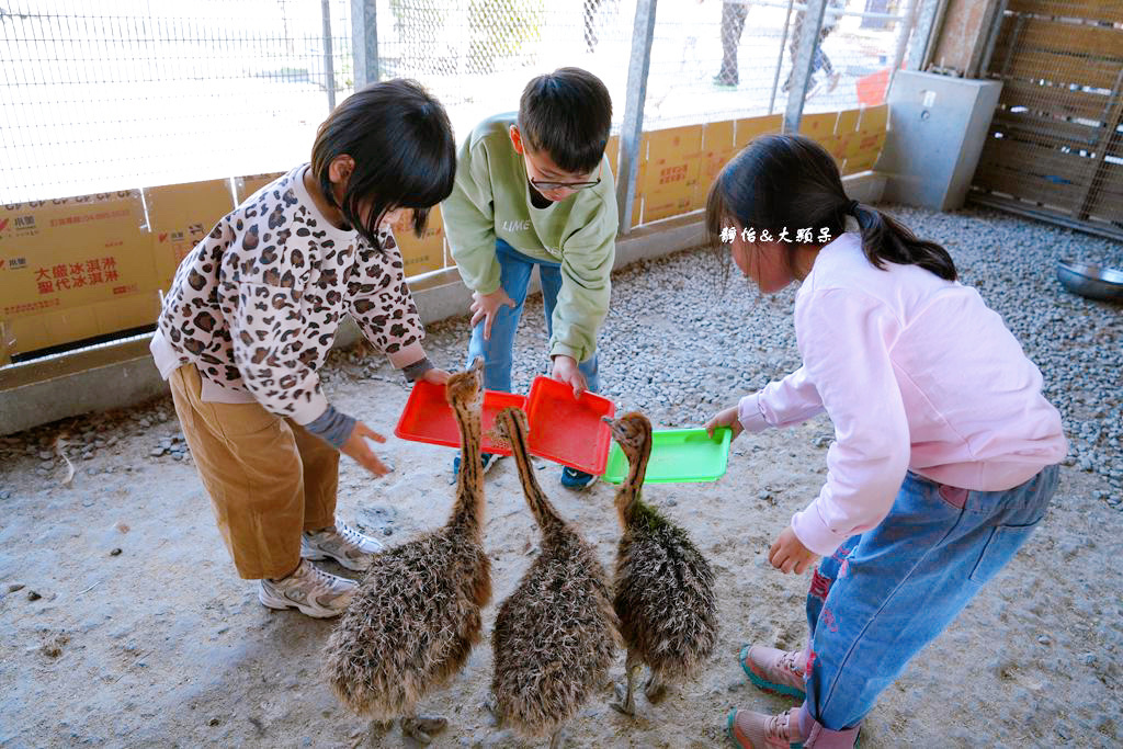 正實親子農場 ❙ 餵小動物、撿雞蛋、氣墊溜滑梯、沙坑，免費飼