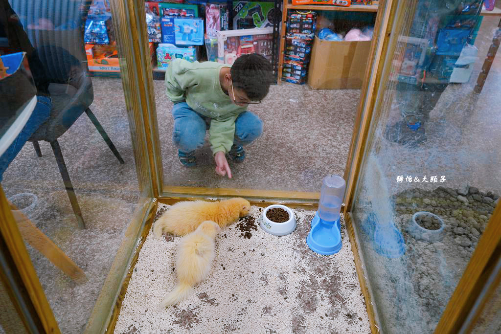 正實親子農場 ❙ 餵小動物、撿雞蛋、氣墊溜滑梯、沙坑，免費飼