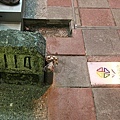 11453-03.JPG