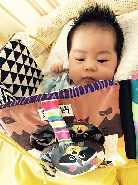 拉梅茲Lamaze 發現可愛動物形狀布書