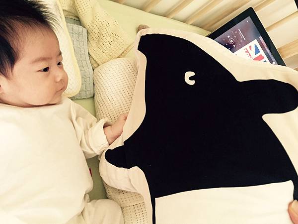 馬來貘與小妞仔 馬來貘與小妞仔