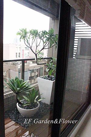 IMG_6407a.JPG IMG_6407a.JPG