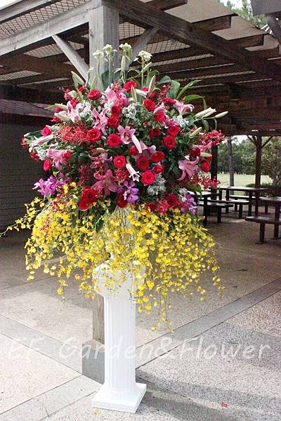 IMG_6641a.JPG IMG_6641a.JPG