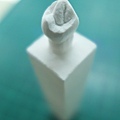 牙體型態雕刻  (11).JPG