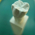 牙體型態雕刻  (16).JPG
