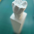 牙體型態雕刻  (17).JPG