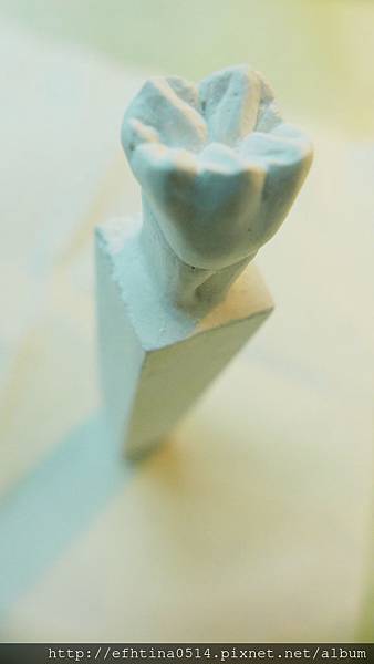 牙體型態雕刻  (20).JPG