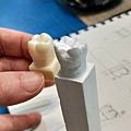 課程實務操作： 繪製臨摹到獨立操作進而揣摩出屬於自己雕刻方式與手感，讓作品呈現牙體解剖形態。 打大型-形態比例40%，牙體特徵40%，細修-整體齒面處理技巧20% 整體檢