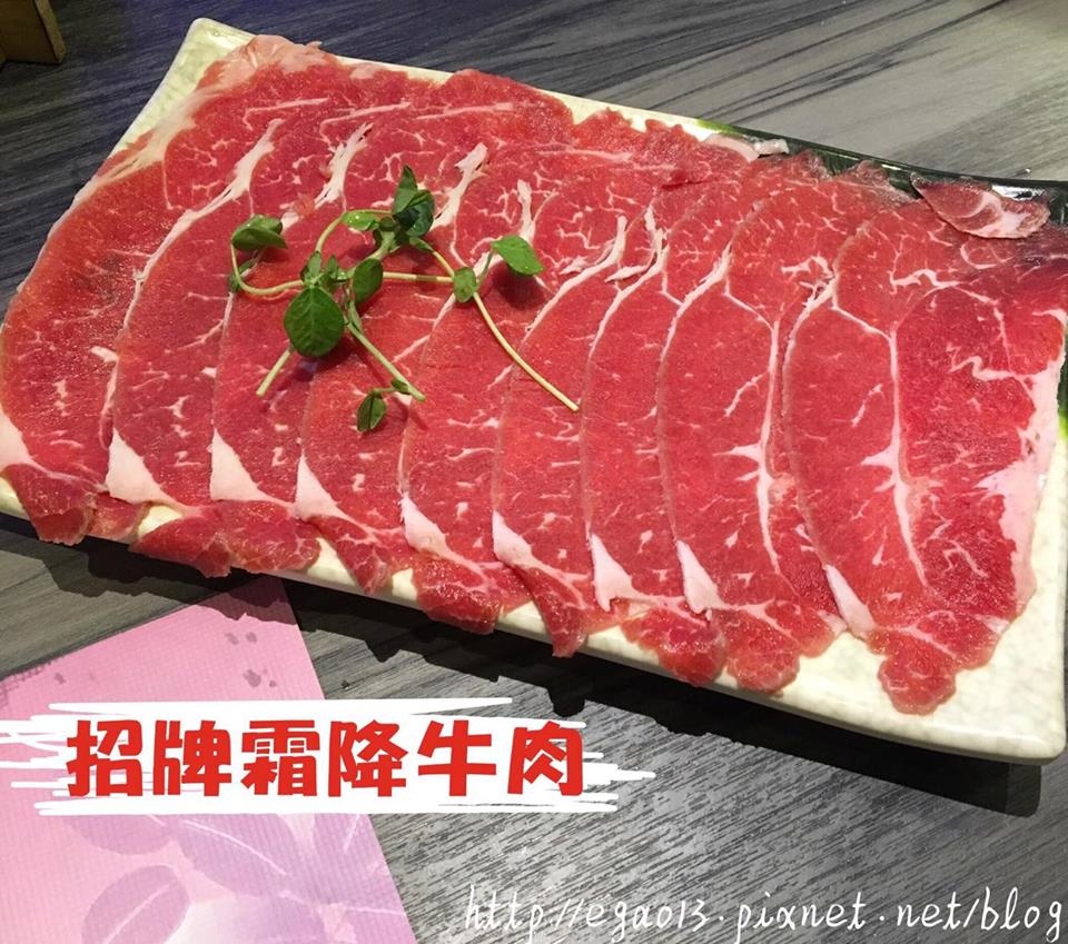 【新北投站】新北投旗艦店-鍋董，寵物友善餐廳~海鮮肉片新鮮美