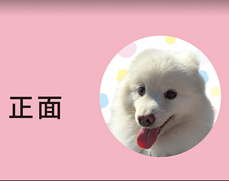 I Cure 台灣設計文創品牌 客製商品來囉ღ I 好溜伸縮萬卡組 手繪大圓包 白狐狸寶寶家族 痞客邦