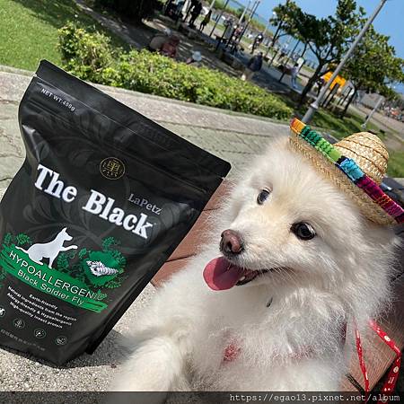 【寵物】樂倍黑酵母超低敏蟲蛋白~新產品開箱啦!!!
