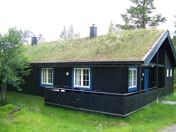 綠化屋頂