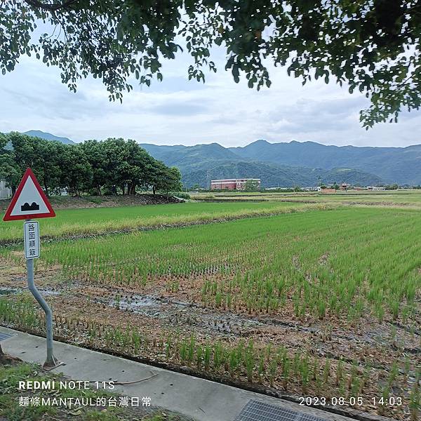 【走。遊宜蘭】望龍埤、天送埤火車站、海岸