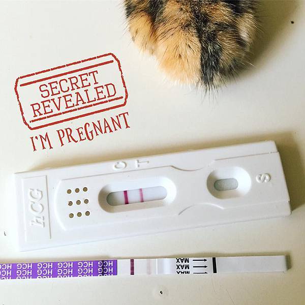 14117761_1275423729135841_7908452576258247877_n.jpg 14117761_1275423729135841_7908452576258247877_n.jpg