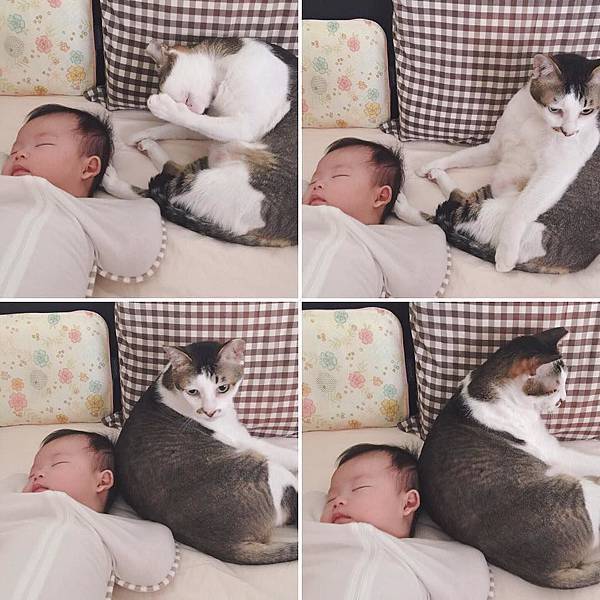 19260213_1579347945410083_2636704665678229875_n 19260213_1579347945410083_2636704665678229875_n