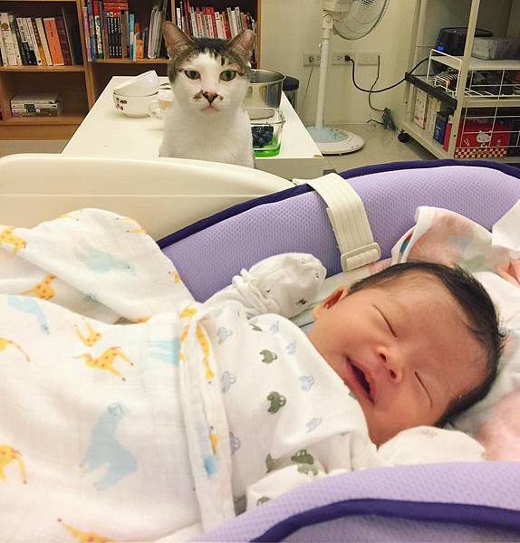 18034225_1516756348335910_6635985137830046377_n 18034225_1516756348335910_6635985137830046377_n