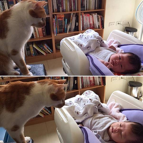 19397025_1579320298746181_260888838755378980_n