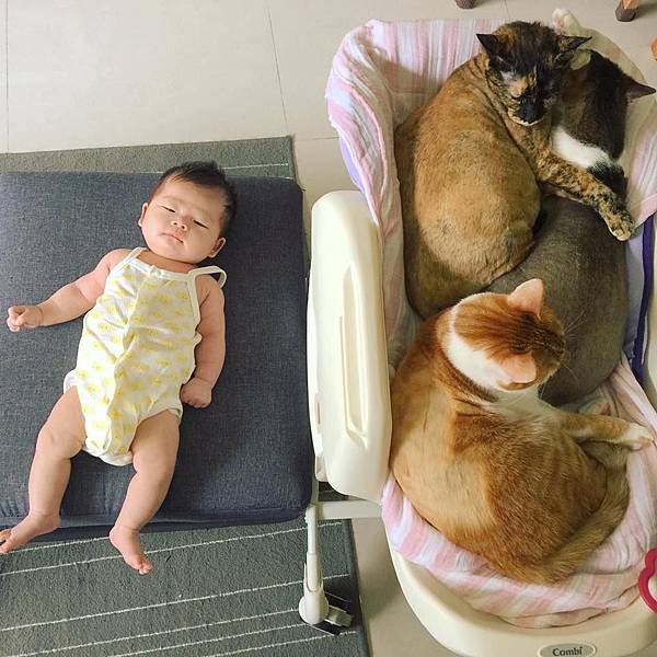 18557230_1545141348830743_551848841542580549_n