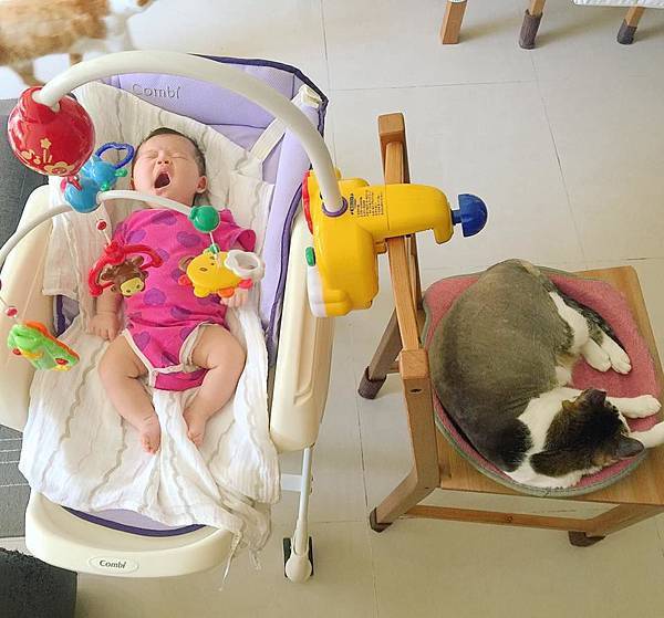 19366429_1579320232079521_7943917001588814100_n