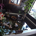 R0013158.JPG
