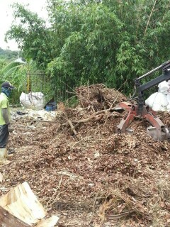 廢樹枝清除 廢樹枝清除