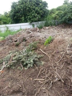 樹枝樹葉清除.png 樹枝樹葉清除.png