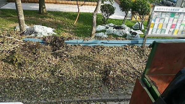 樹枝樹葉清除 (2).jpg 樹枝樹葉清除 (2).jpg