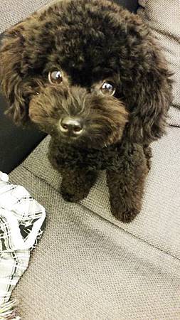 11251445_627011787435600_516337846_n 11251445_627011787435600_516337846_n