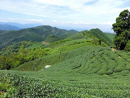 11542571_640729942730451_391116514_o 11542571_640729942730451_391116514_o