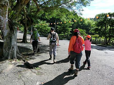 11538016_640730529397059_1193943558_o 11538016_640730529397059_1193943558_o