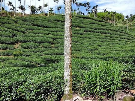 899057_640730392730406_1980773403_o 899057_640730392730406_1980773403_o